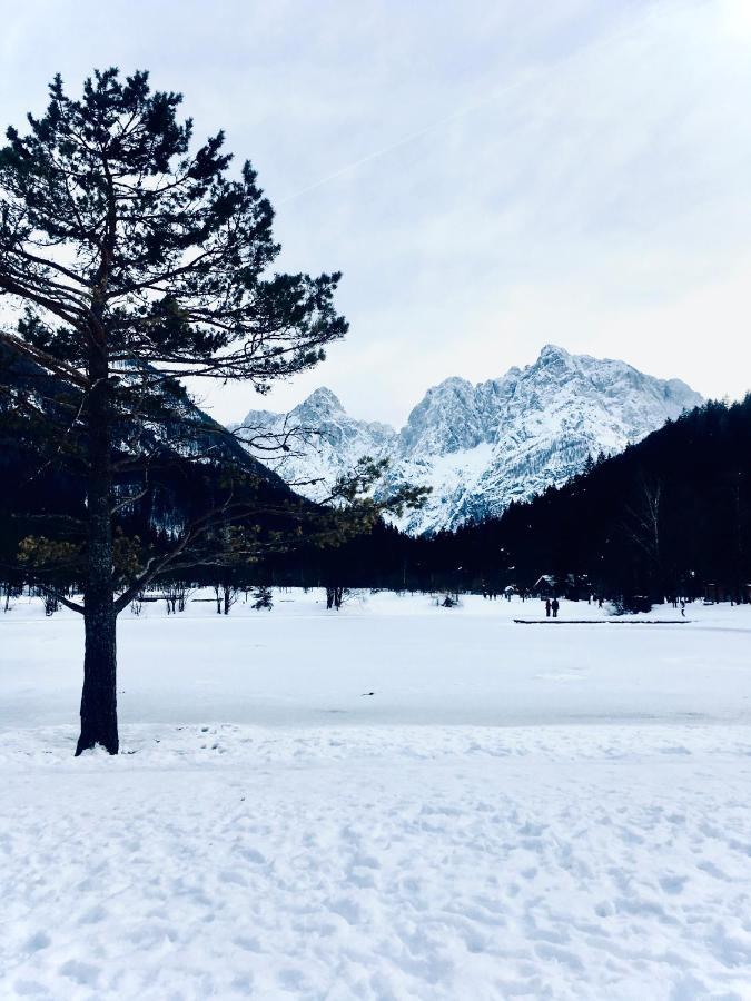 Ian'S Residence Kranjska Gora Eksteriør bilde